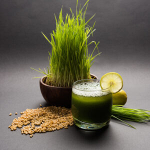 Wheat Grass